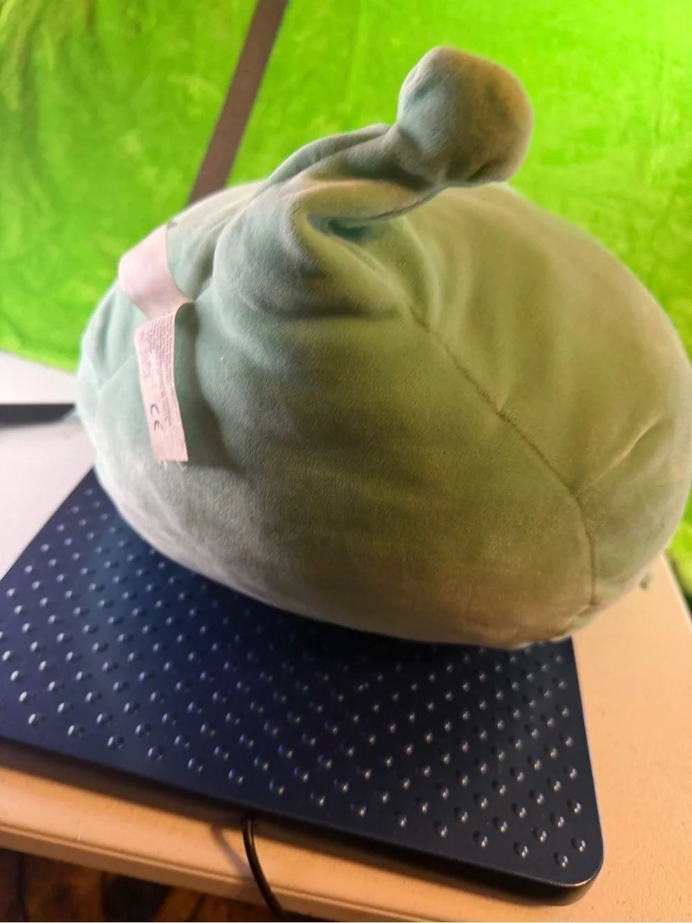 Squishmallows Mint Green Plush with Cream Face and Red 'R' Accent